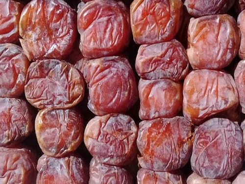 قیمت خرمای مرداسنگ با کیفیت ارزان + خرید عمده